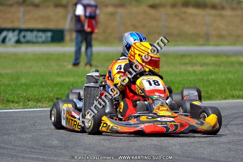 DSC_ (221).jpg